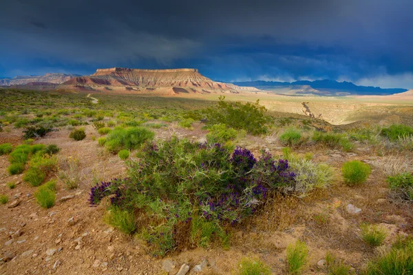 Utah landskap — Stockfoto