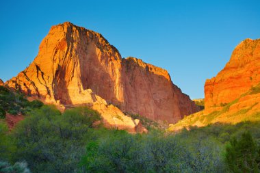 Zion national park