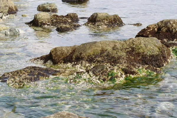 Πέτρες της θάλασσας σε ένα surf — Φωτογραφία Αρχείου