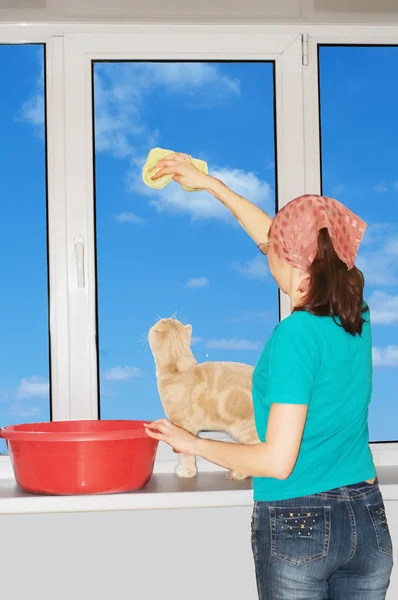 stock image Wash of windows