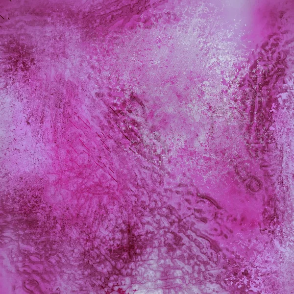 Viola sfondo rosa — Foto Stock