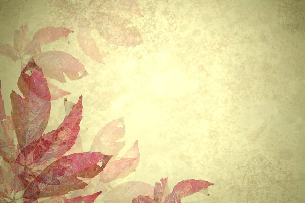 Floral faded vintage background — Stock Photo, Image