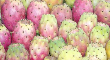 Prickly pears background clipart