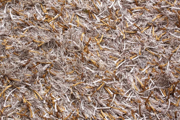 Bruine tapijt detail — Stockfoto