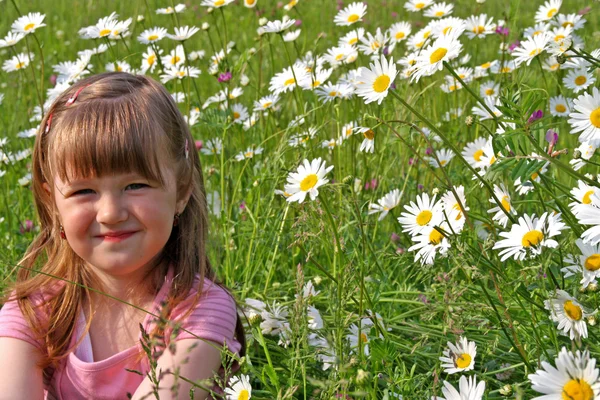 stock image Young girl with daisies