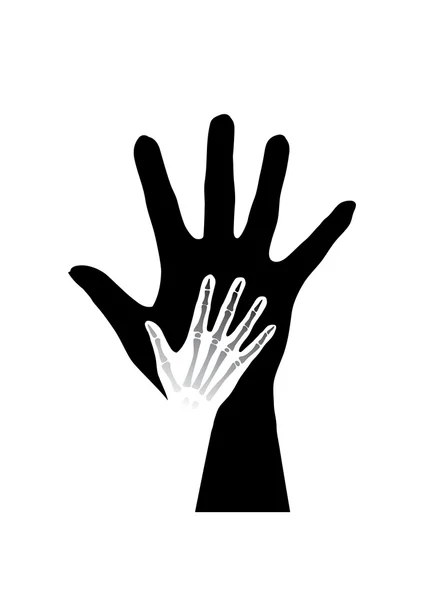 Anatomie stylisée des mains — Image vectorielle