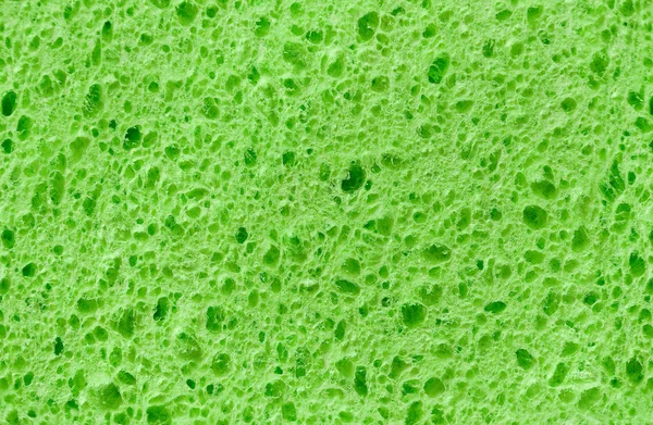 纤维素泡沫海绵 — 图库照片