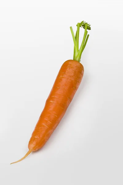 stock image Fresh carrot