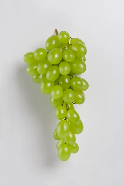 Bunch of fresh green grapes — Stock Photo, Image
