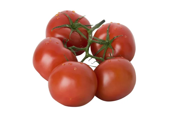 Куча помидоров — стоковое фото