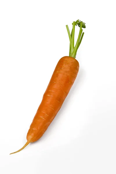 stock image Fresh carrot