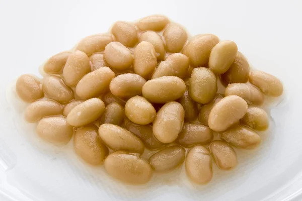 통조림된 콩 — 스톡 사진