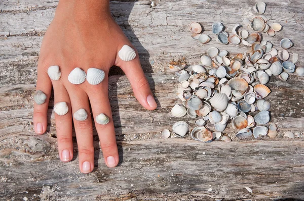 Oyster shell och kvinna hand — Stockfoto