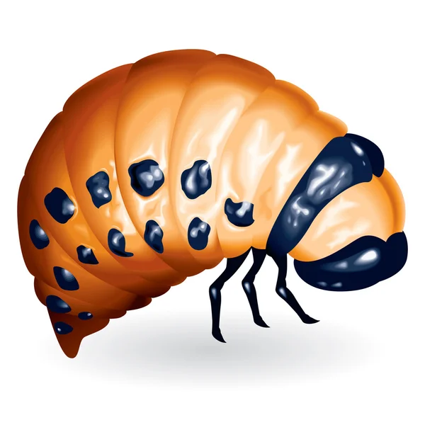 Beetle larvae — Stock Vector