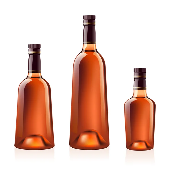 Bouteilles de cognac (brandy). Illustration vectorielle . — Image vectorielle
