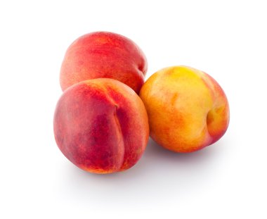 Nectarines clipart