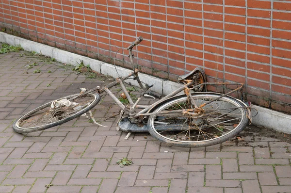 Martwe rowerów — Zdjęcie stockowe