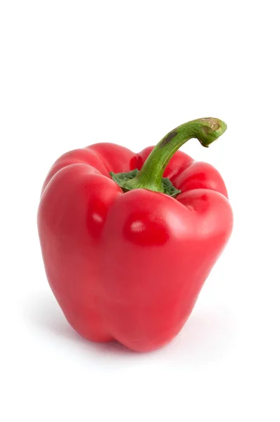 stock image Red pepper