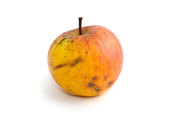 Manzana amarilla mala Imagen de stock