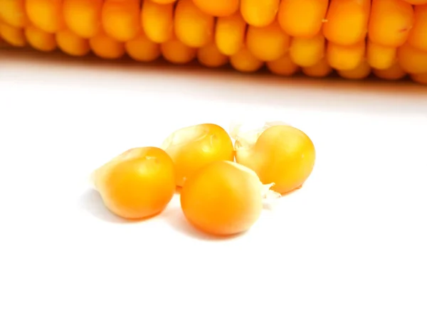 Detalhe de um milho — Fotografia de Stock