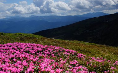 Karpaty Montains