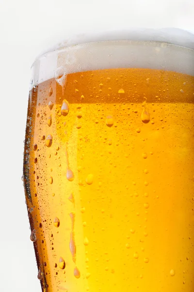 Повний келих пива — стокове фото