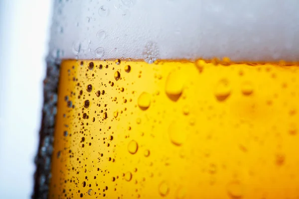 Soğuk bira — Stok fotoğraf