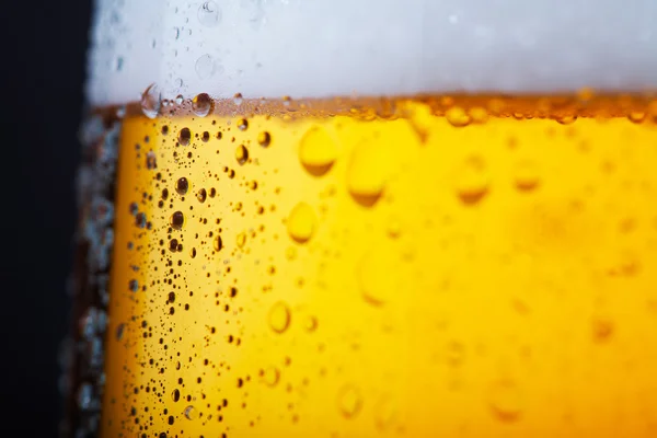 Холодне пиво — стокове фото