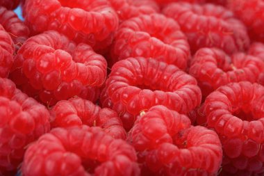 Raspberries clipart