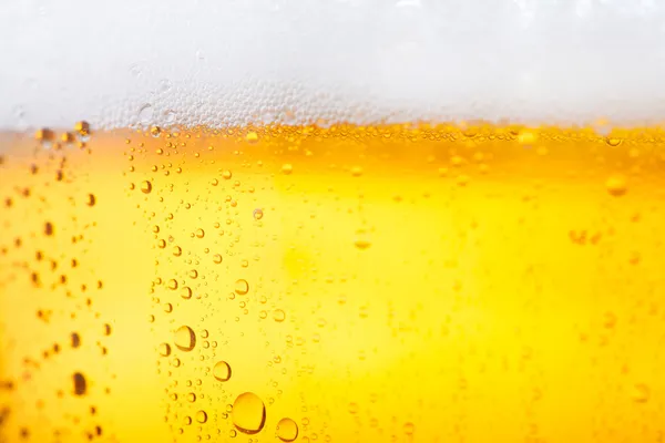 Zimne piwo — Zdjęcie stockowe