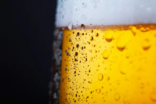 Холодное пиво — стоковое фото