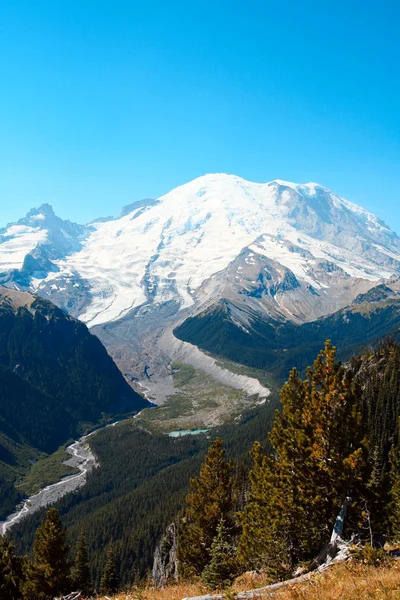 Mt. Rainier — Zdjęcie stockowe