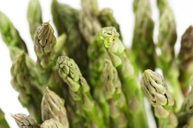 Green asparagus clipart