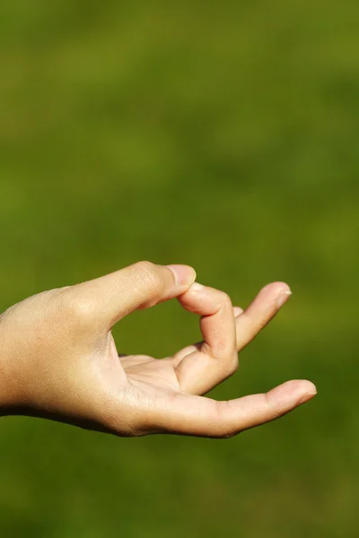 Zen mão — Fotografia de Stock