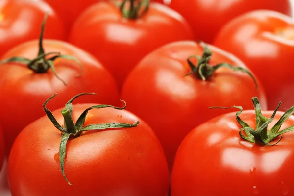 stock image Tomatoes