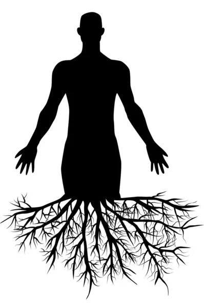 Man's silhouette with roots — Stock Vector