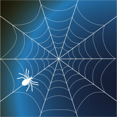 Spider web clipart