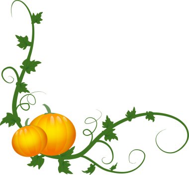 Pumpkins clipart