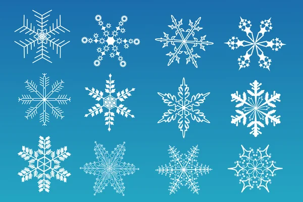 A set of snowflakes — Stock Vector