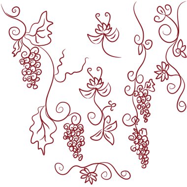 Design elements of grapes clipart