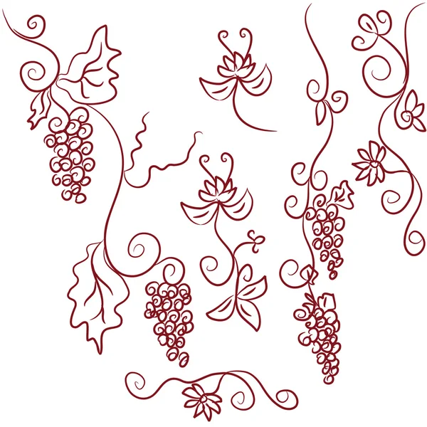 Elementos de diseño de uvas — Archivo Imágenes Vectoriales