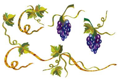 Grape vine design clipart