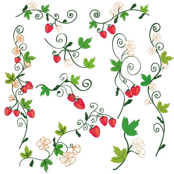 Strawberry background design elements — Stock Vector