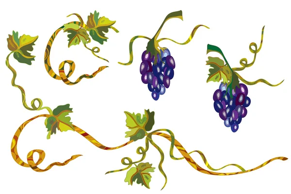 Виноградна лоза дизайн — стоковий вектор
