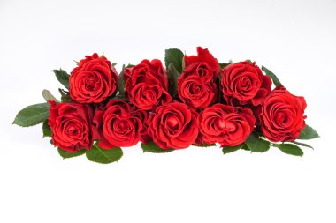 Roses clipart