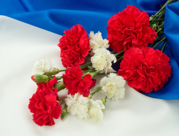 Пинки и флаг
