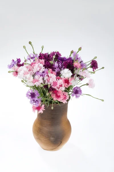 Květiny v keramická váza — Stock fotografie
