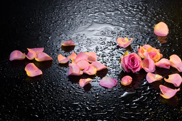 Rose and petals — Stock Photo, Image