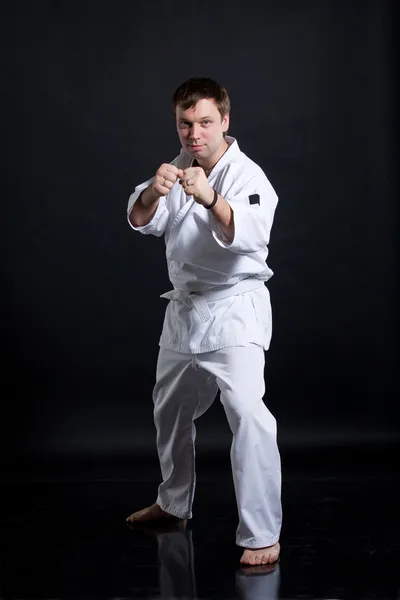 stock image Man in martial arts pose