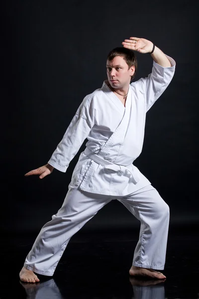 Man in martial arts pose — Stock Photo, Image